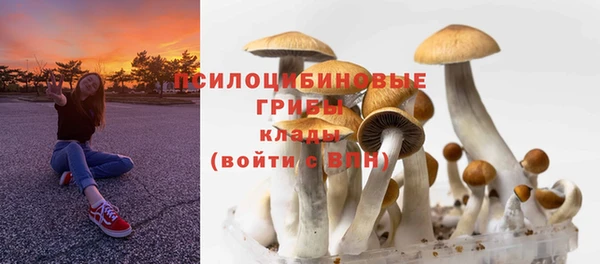 а пвп мука Дмитровск