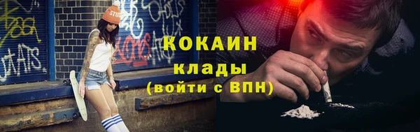 дмт Пересвет