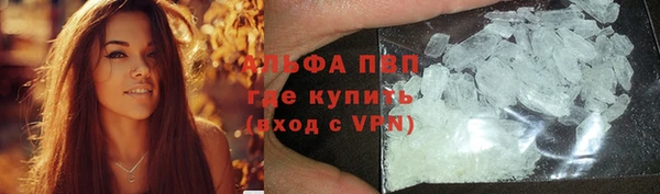 дмт Пересвет