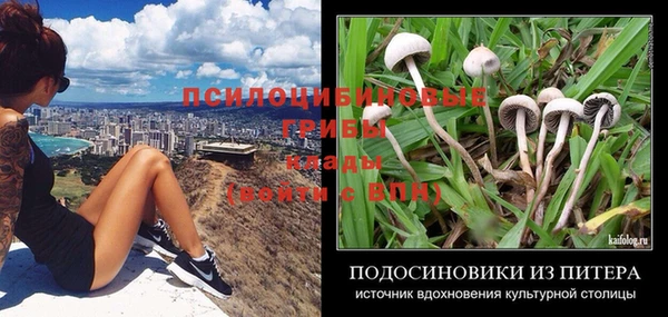 каннабис Пестово