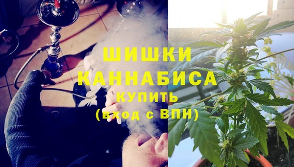 гидра Осинники