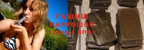 гидра Осинники