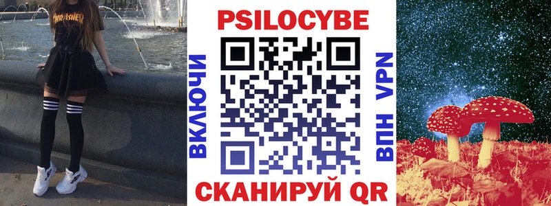 закладка Зея Галлюциногенные грибы мухоморы